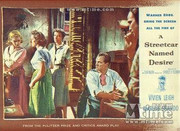 偷窥的世界,揭秘偷窥世界的隐秘角落  第3张