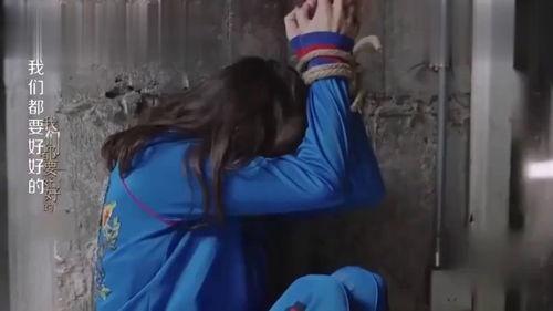 我的朋友，叛徒,叛徒的阴影与真相揭露  第2张